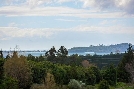 Photo of property in 24 Martray Road, Tahawai, Katikati, 3170