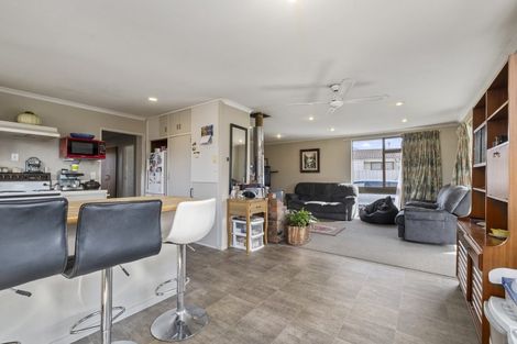 Photo of property in 3 Towan Place, Cromwell, 9310