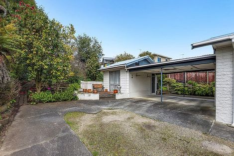 Photo of property in 12 Thomson Avenue, Dinsdale, Hamilton, 3204