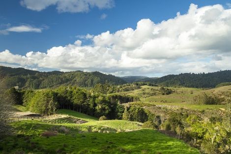 Photo of property in 24 Falls Road, Hunua, Papakura, 2583