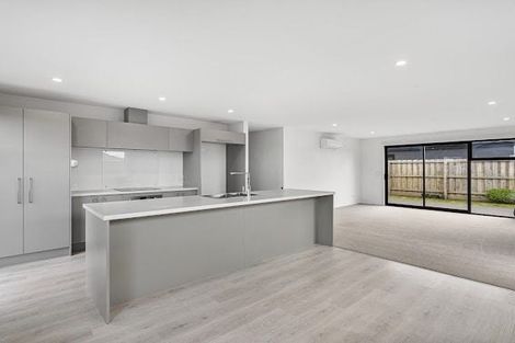 Photo of property in 17 Sedge Street, Belfast, Christchurch, 8051