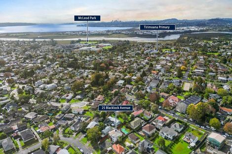 Photo of property in 25 Blacklock Avenue, Henderson, Auckland, 0612