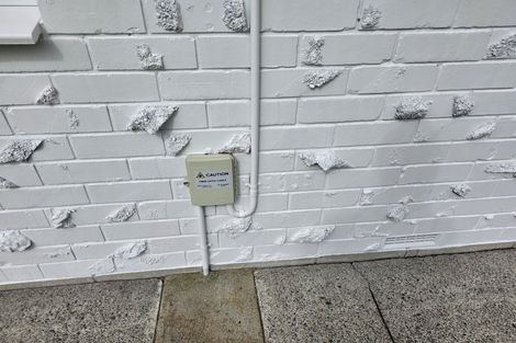 Photo of property in 244 Beach Road, Katikati, 3178