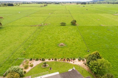 Photo of property in 279 Tararua Road, Levin, 5571