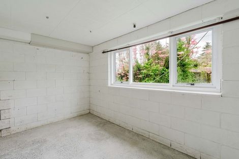 Photo of property in 123 Mahoe Street, Melville, Hamilton, 3206