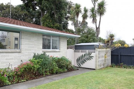 Photo of property in 220a Wolseley Street, Mayfair, Hastings, 4122