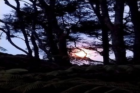 Photo of property in 55 Sylvan Valley Avenue, Titirangi, Auckland, 0604