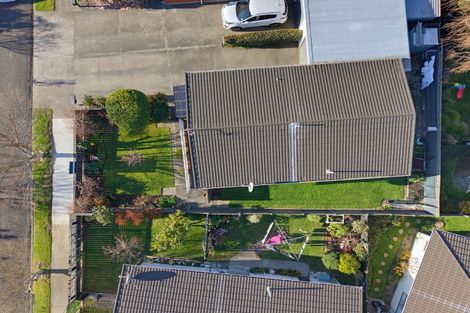 Photo of property in 24 Usherwood Crescent, Akina, Hastings, 4122