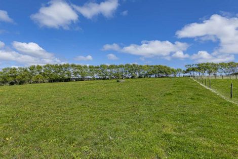 Photo of property in 219 Forestry Road, Waitoki, Kaukapakapa, 0871