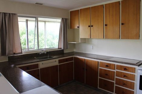 Photo of property in 56 Donegal Street, Cromwell, 9310