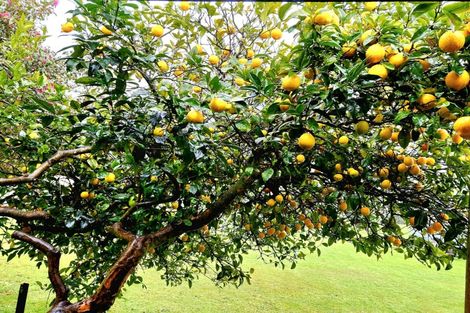 Photo of property in 176 Taupo Road, Taumarunui, 3920