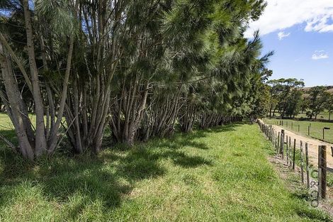 Photo of property in 306 Taiapa Road, Muriwai, 0881