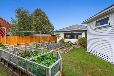 Photo of property in 17 Stewart Street, Whakatane, 3120