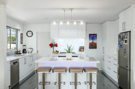 Photo of property in 15 Chimera Street, Pegasus, 7612