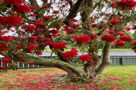 Photo of property in 57a Neal Street, Putaruru, 3411