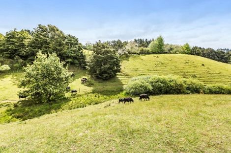 Photo of property in 49 Coulston Road, Ramarama, Pukekohe, 2677