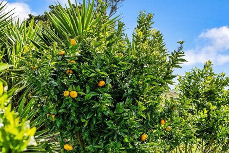 Photo of property in 84b Kaiwha Road, Welcome Bay, Tauranga, 3175