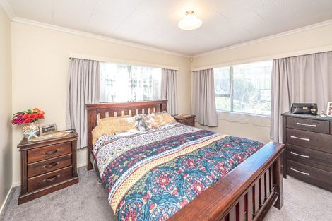 Photo of property in 80 Treadwell Street, Springvale, Whanganui, 4501