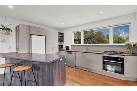 Photo of property in 17 Opal Place, Casebrook, Christchurch, 8051