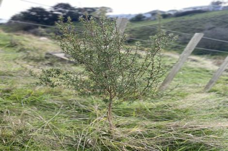 Photo of property in 36 Burtts Road, Durie Hill, Whanganui, 4500