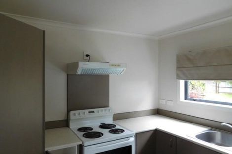 Photo of property in 241a Huatoki Street, Upper Vogeltown, New Plymouth, 4310