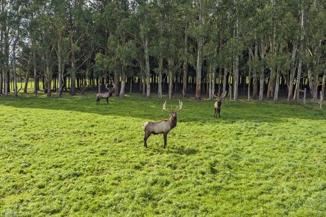 Photo of property in 10 Horrells Road, West Eyreton, Rangiora, 7475