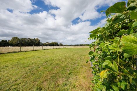 Photo of property in 1361 Rangitikei Line, Newbury, Palmerston North, 4475
