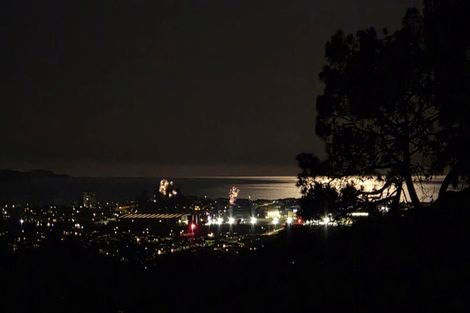 Photo of property in 202 Kahikatea Flat Road, Dairy Flat, Albany, 0794