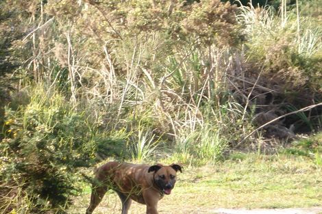 Photo of property in 336 Matai Bay Road, Karikari Peninsula, Kaitaia, 0483