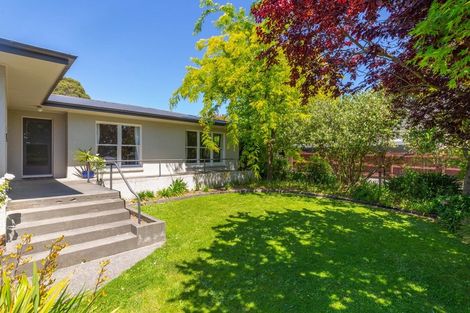 Photo of property in 7 Safe Street, Witherlea, Blenheim, 7201