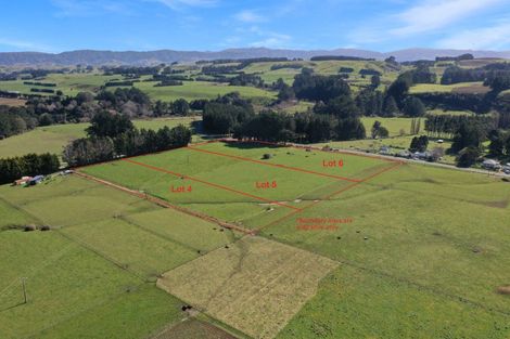 Photo of property in 45 Marchant Street, Eketahuna, 4900