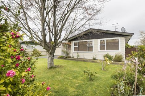 Photo of property in 10 Kennedy Avenue, Feilding, 4702