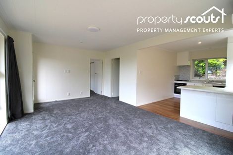 Photo of property in 24b Carnarvon Street, Belleknowes, Dunedin, 9011