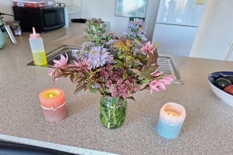 Photo of property in 19 Sheen Street, Roslyn, Dunedin, 9010