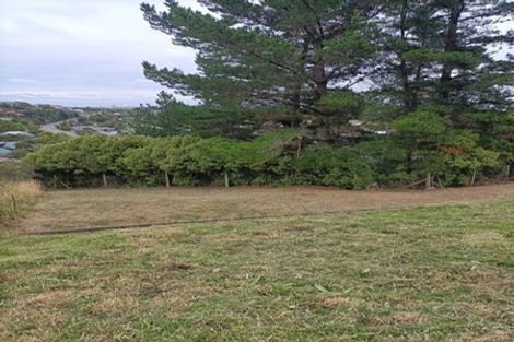 Photo of property in 17 Stronsay Lane, Hillsborough, Christchurch, 8022