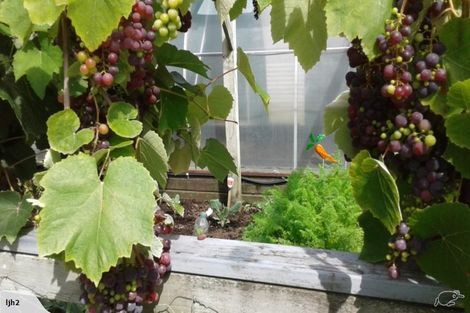 Photo of property in 1658 River Road, Broadlands, Reporoa, 3081