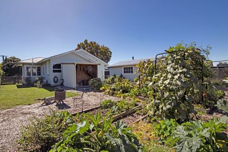 Photo of property in 61 Poole Street, Motueka, 7120