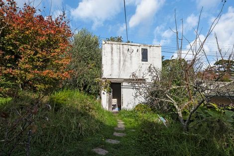Photo of property in 117 Hutchinson Avenue, New Lynn, Auckland, 0600