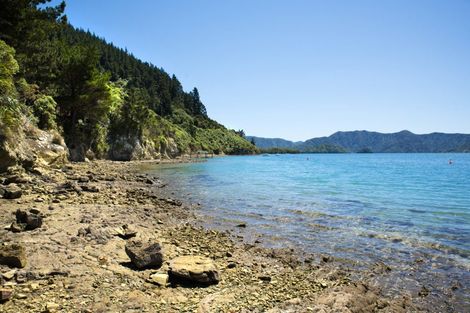 Photo of property in 440 Port Underwood, Whatamango Bay, Picton, 7281