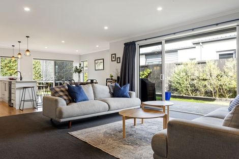 Photo of property in 33 Lulu Avenue, Chartwell, Hamilton, 3210