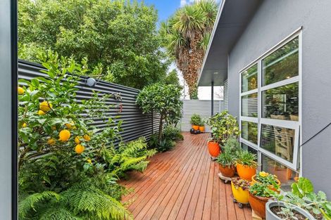 Photo of property in 24b Ascot Street, Hokowhitu, Palmerston North, 4410