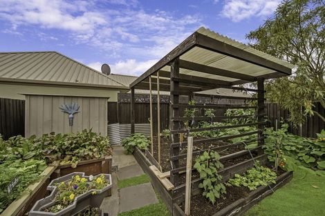 Photo of property in 11 Baltic Place, Northwood, Christchurch, 8051