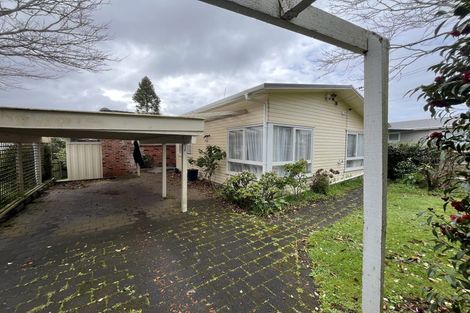 Photo of property in 13 Gregory Place, Mount Roskill, Auckland, 1041