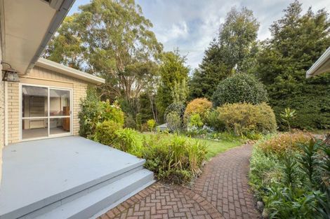Photo of property in 15 Mangotahi Road, Thames, 3577