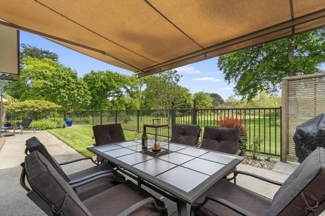 Photo of property in 81c Horrell Road, Morrinsville, 3374