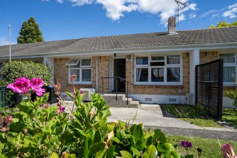 Photo of property in 3b Vogel Street, Cambridge, 3434