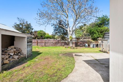 Photo of property in 29 Stuckey Street, Levin, 5510