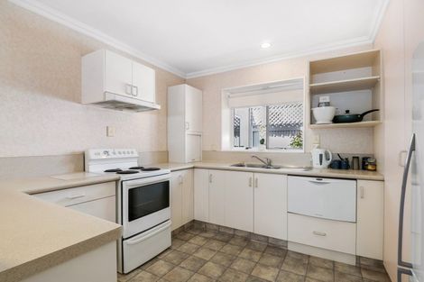 Photo of property in 3a Andrew Street, Blenheim, 7201