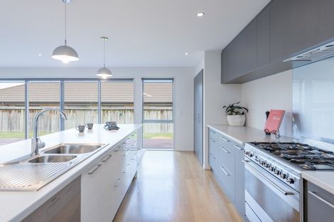 Photo of property in 82a Chelsea Avenue, Richmond, 7020