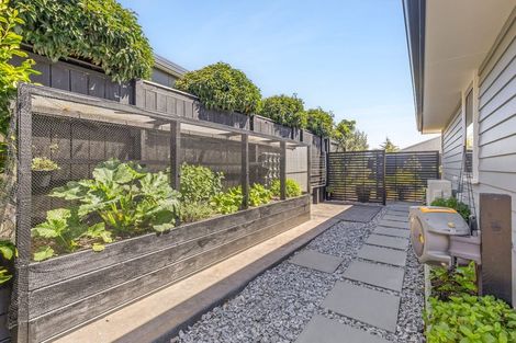 Photo of property in 26 Hart Road, Richmond, 7020